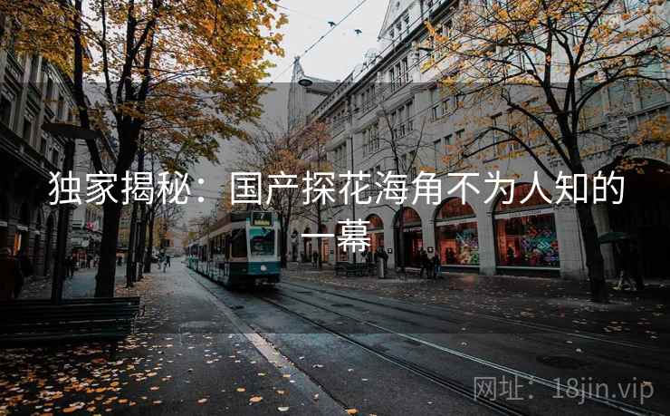 独家揭秘:国产探花海角不为人知的一幕  第1张 独家揭秘:国产探花海角不为人知的一幕  第1张