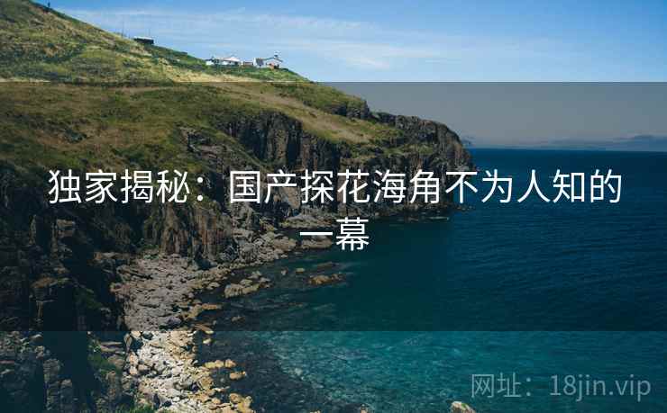 独家揭秘:国产探花海角不为人知的一幕  第2张 独家揭秘:国产探花海角不为人知的一幕  第2张