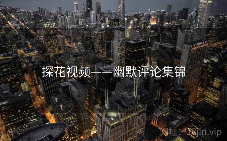 探花视频——幽默评论集锦  第2张 探花视频——幽默评论集锦  第2张