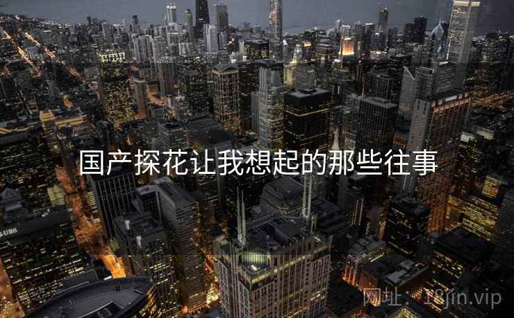 国产探花让我想起的那些往事  第1张 国产探花让我想起的那些往事  第1张