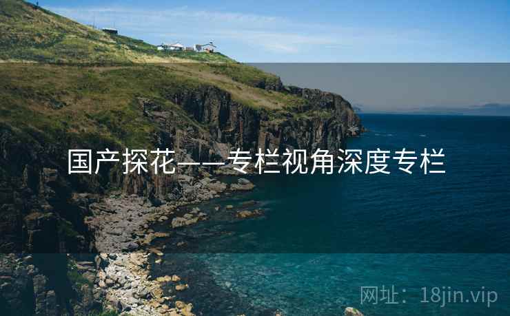 国产探花——专栏视角深度专栏  第2张 国产探花——专栏视角深度专栏  第2张