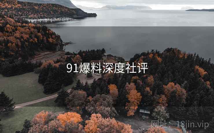 91爆料深度社评  第1张 91爆料深度社评  第1张