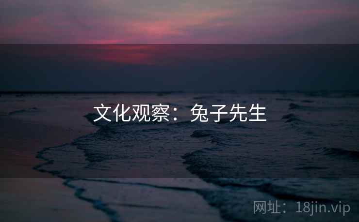 文化观察:兔子先生  第2张 文化观察:兔子先生  第2张