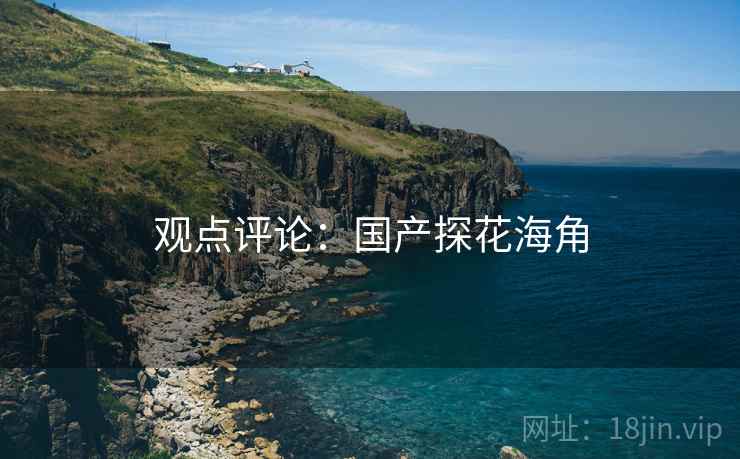 观点评论:国产探花海角  第2张 观点评论:国产探花海角  第2张