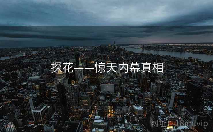 探花——惊天内幕真相  第2张 探花——惊天内幕真相  第2张