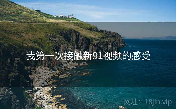 我第一次接触新91视频的感受  第2张 我第一次接触新91视频的感受  第2张