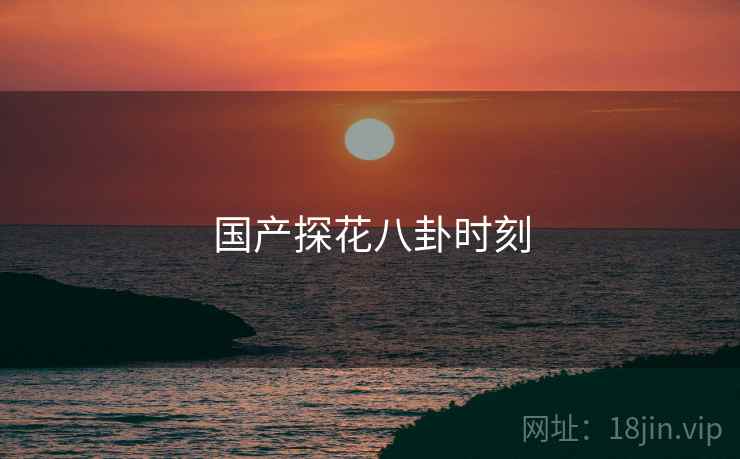 国产探花八卦时刻  第2张 国产探花八卦时刻  第2张
