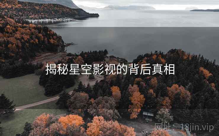 揭秘星空影视的背后真相  第2张 揭秘星空影视的背后真相  第2张