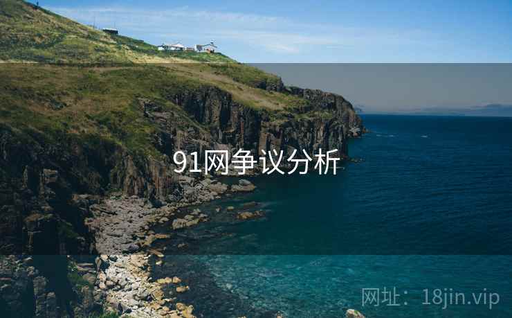 91网争议分析  第2张 91网争议分析  第2张