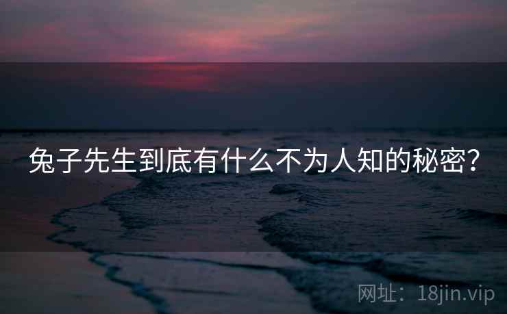 兔子先生到底有什么不为人知的秘密?  第1张 兔子先生到底有什么不为人知的秘密?  第1张