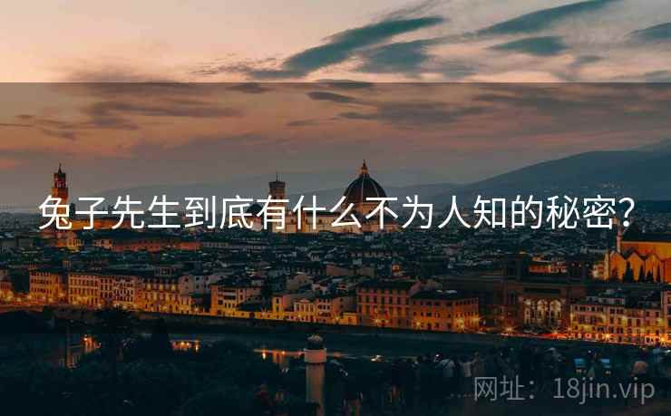 兔子先生到底有什么不为人知的秘密?  第2张 兔子先生到底有什么不为人知的秘密?  第2张