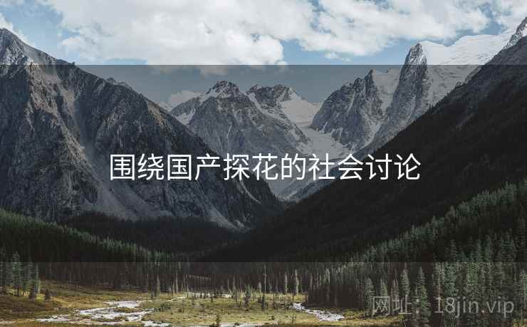 围绕国产探花的社会讨论  第2张 围绕国产探花的社会讨论  第2张