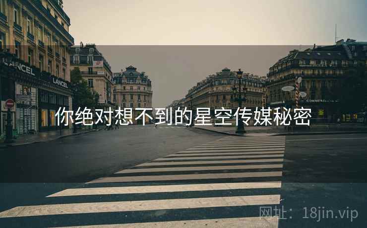 你绝对想不到的星空传媒秘密  第2张