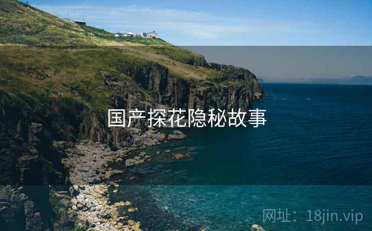 国产探花隐秘故事  第2张 国产探花隐秘故事  第2张