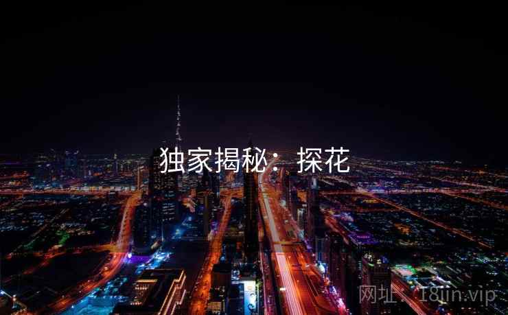 独家揭秘:探花  第1张 独家揭秘:探花  第1张