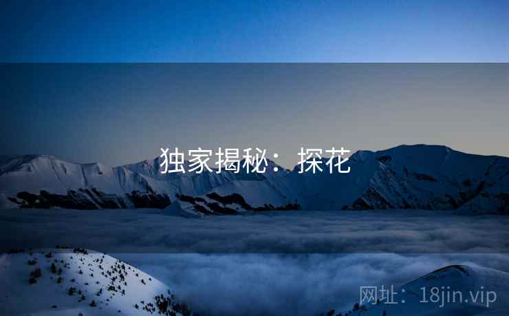 独家揭秘:探花  第2张 独家揭秘:探花  第2张