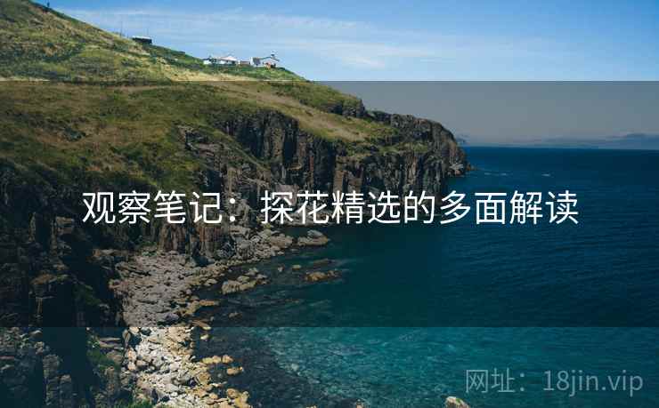 观察笔记:探花精选的多面解读  第2张 观察笔记:探花精选的多面解读  第2张