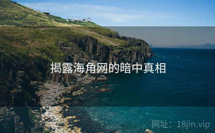 揭露海角网的暗中真相  第1张 揭露海角网的暗中真相  第1张