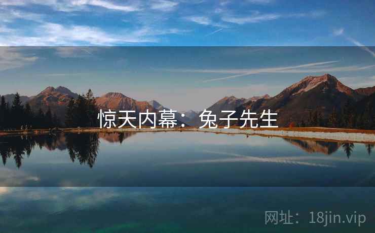 惊天内幕:兔子先生  第2张 惊天内幕:兔子先生  第2张