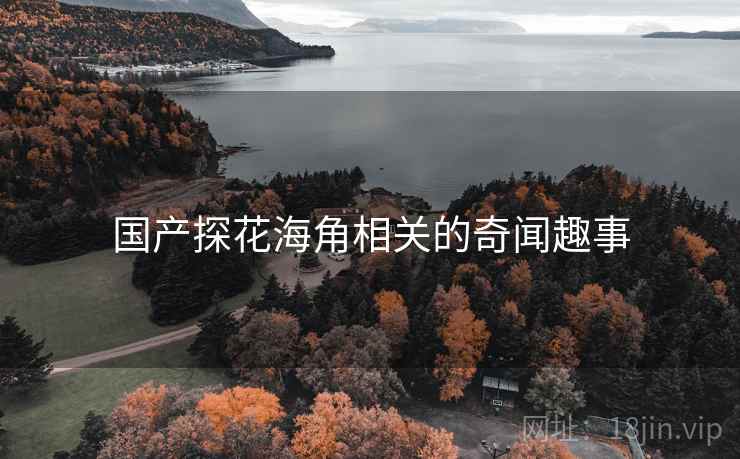 国产探花海角相关的奇闻趣事  第2张 国产探花海角相关的奇闻趣事  第2张