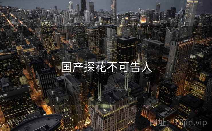 国产探花不可告人  第1张 国产探花不可告人  第1张