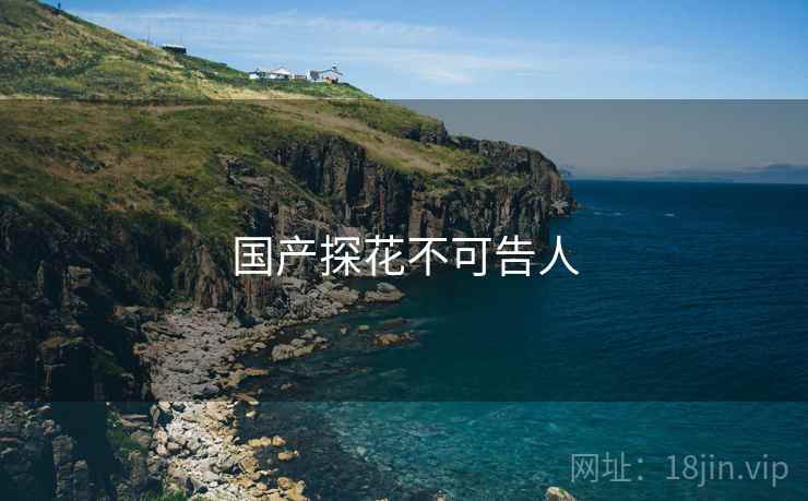 国产探花不可告人  第2张 国产探花不可告人  第2张