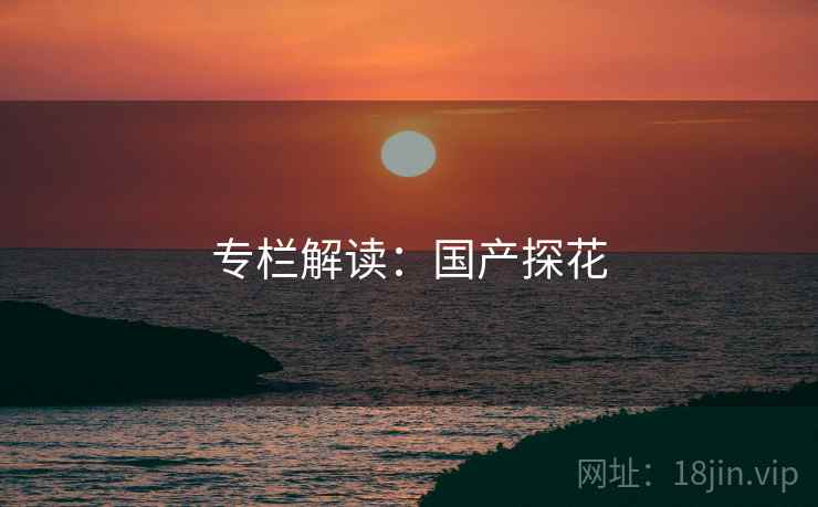 专栏解读:国产探花  第2张 专栏解读:国产探花  第2张