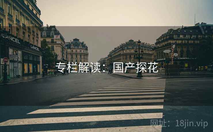专栏解读:国产探花  第1张 专栏解读:国产探花  第1张
