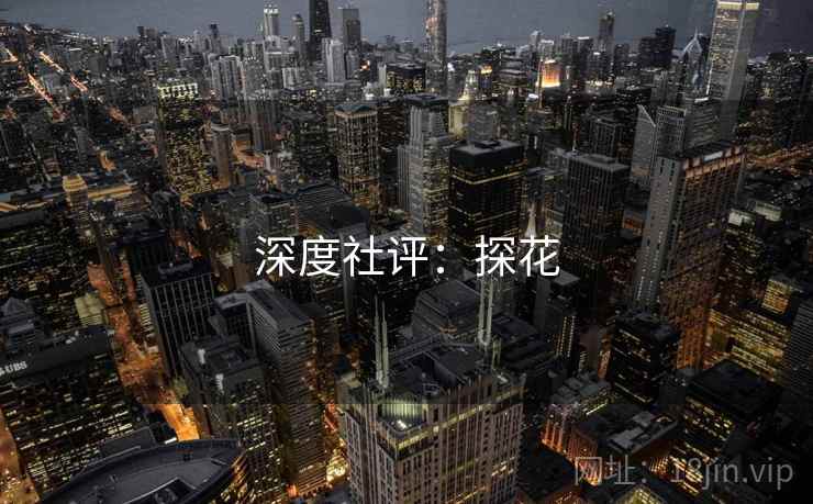 深度社评:探花  第2张 深度社评:探花  第2张