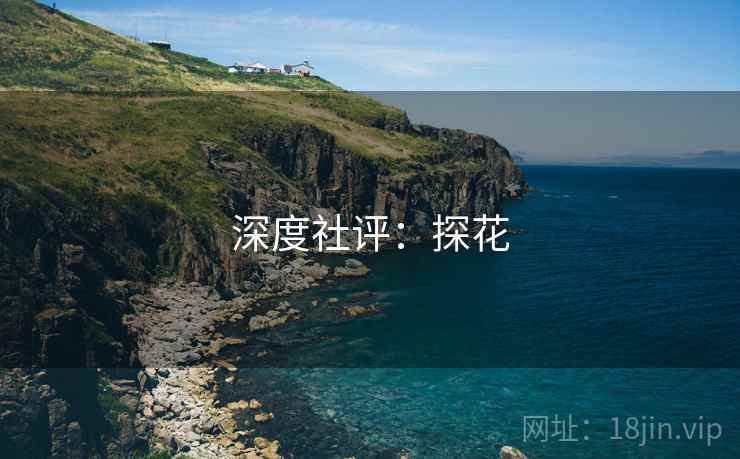 深度社评:探花  第1张 深度社评:探花  第1张