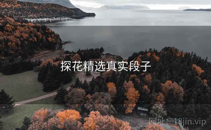 探花精选真实段子  第1张 探花精选真实段子  第1张