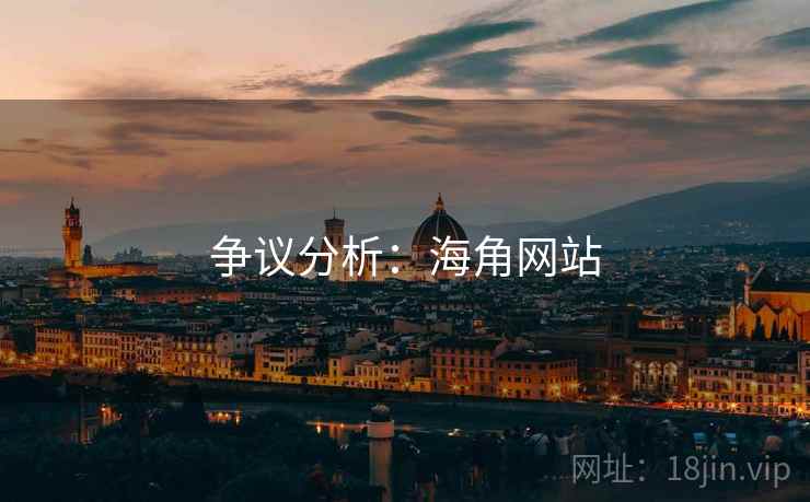 争议分析：海角网站  第2张
