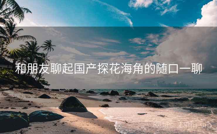 和朋友聊起国产探花海角的随口一聊  第1张